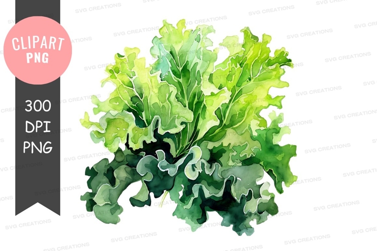 Vegetables PNG Image 17
