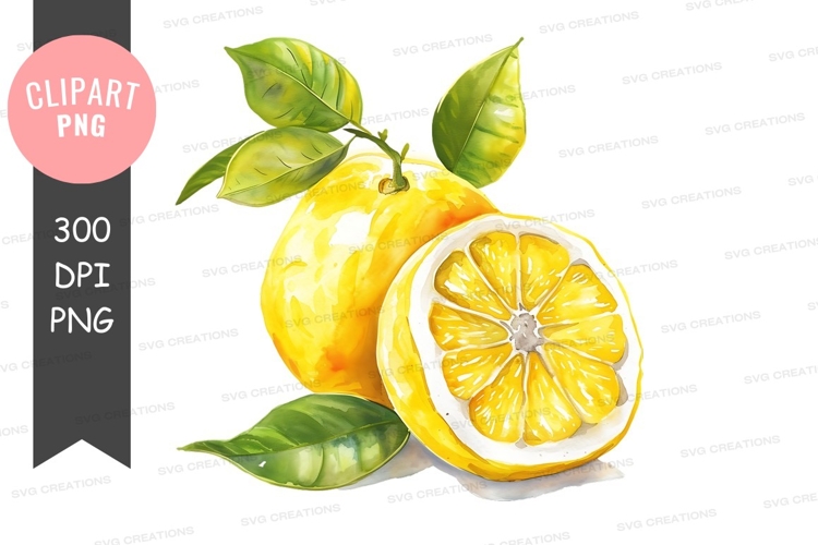 Citrus Clipart Image 21