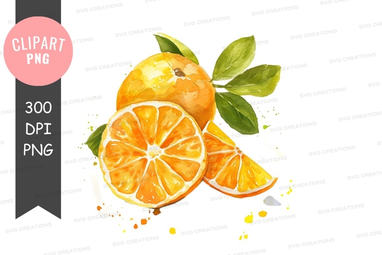 Citrus Clipart Image 20