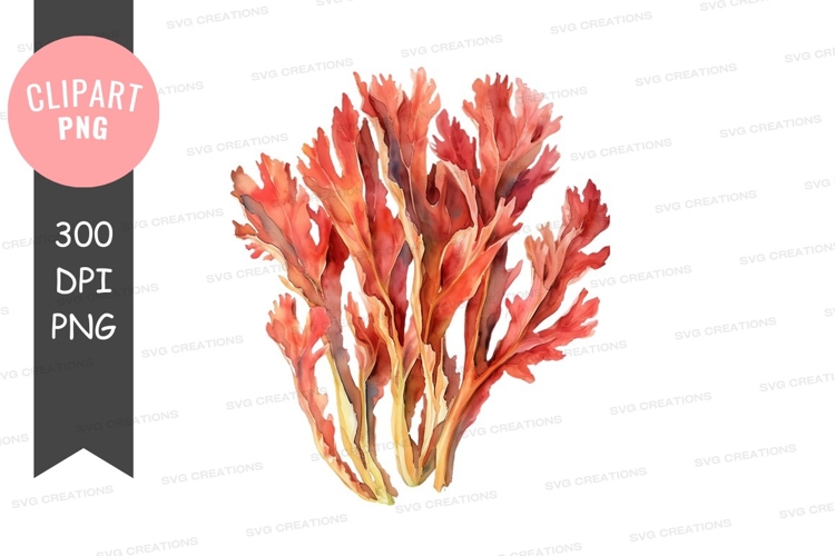 Algae Clipart Image 4