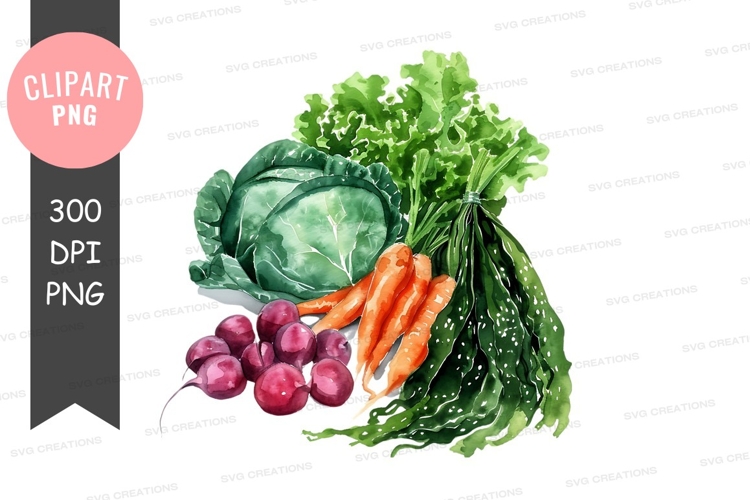 Vegetables PNG Image 18