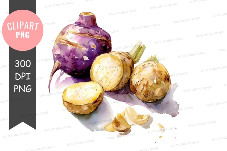 Vegetables PNG Image 15