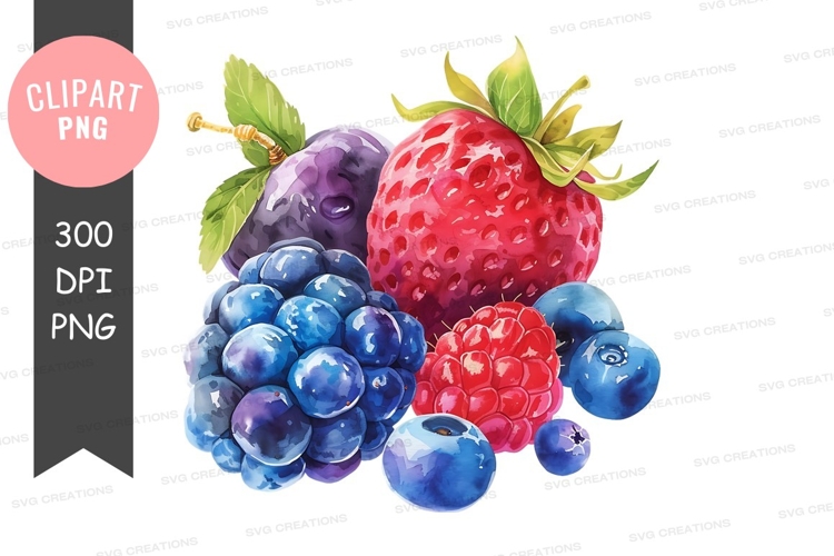 Blackberries Png Image 18