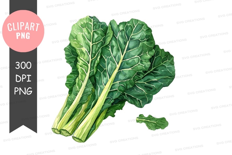 Fresh green leafy vegetables clipart png