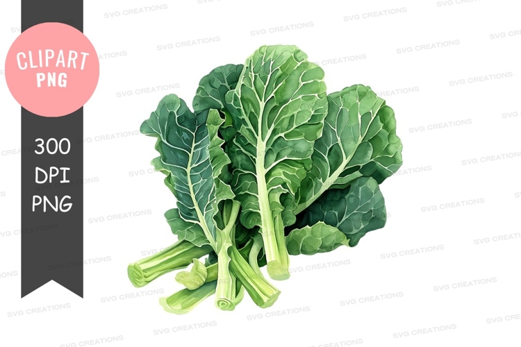 Vegetables PNG Image 14