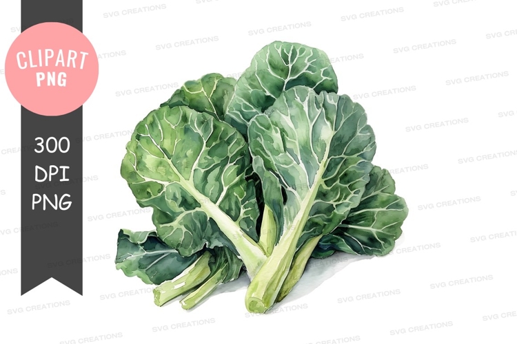 Vegetables PNG Image 12