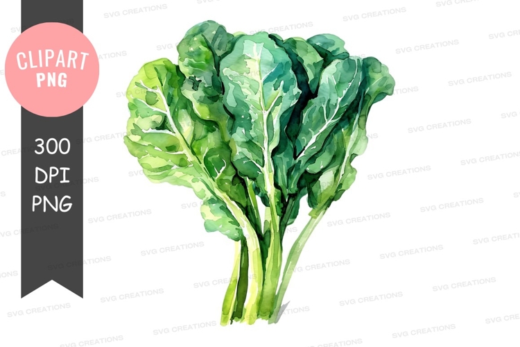 Vegetables PNG Image 11