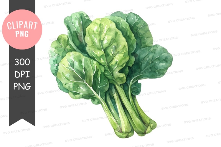 Vegetables PNG Image 10