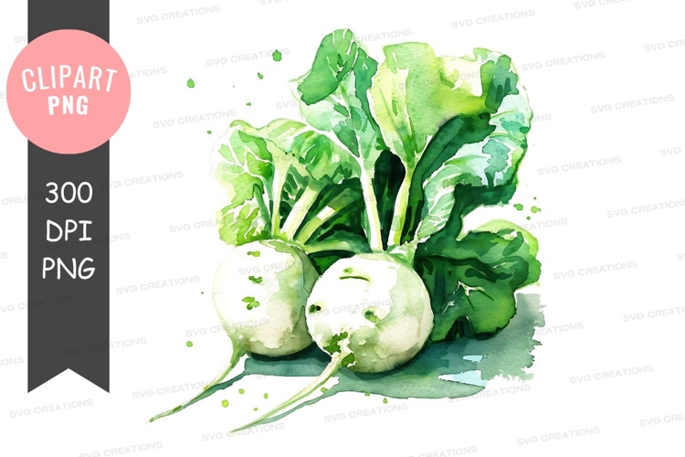 Vegetables PNG Image 9