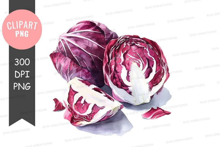 Vegetables PNG Image 8