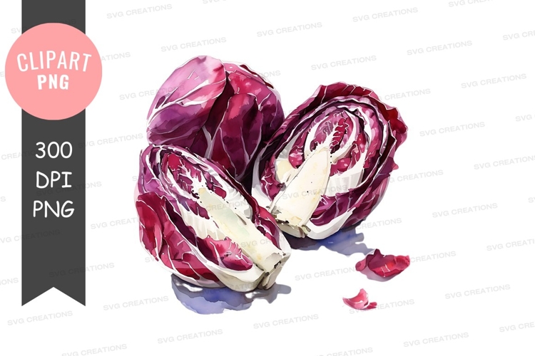 Fresh purple cabbage clipart png