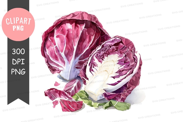 Vegetables PNG Image 7