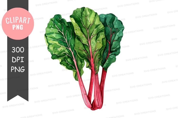 Vegetables PNG Image 6