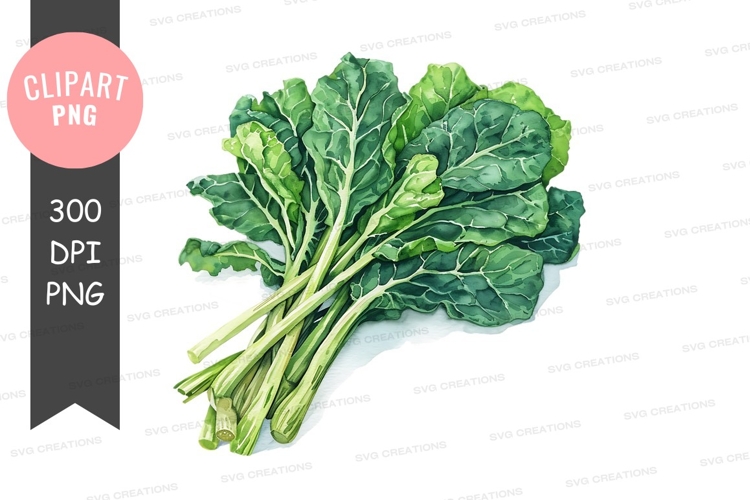 Fresh green leafy vegetables