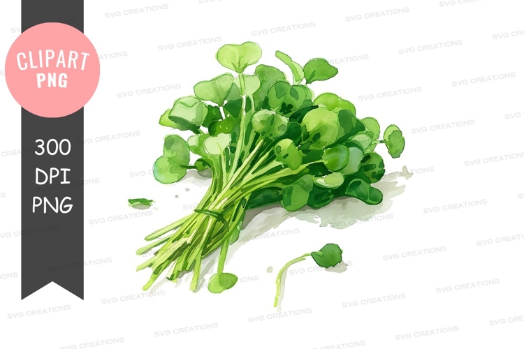 Fresh green leafy vegetables clipart png