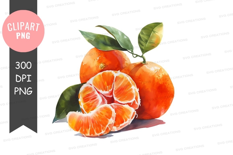 Citrus Clipart Image 18