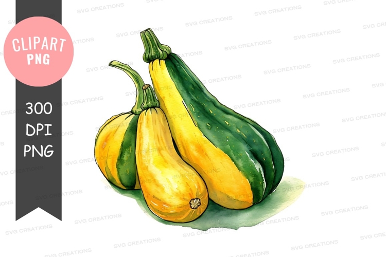 Squash Clipart Image 23