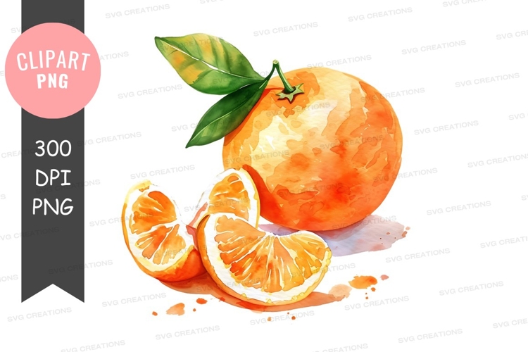 Citrus Clipart Image 12