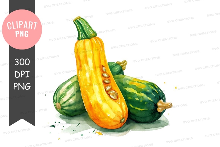 Squash Clipart Image 14