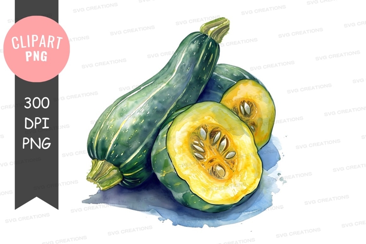 Zucchini Clipart Image 7