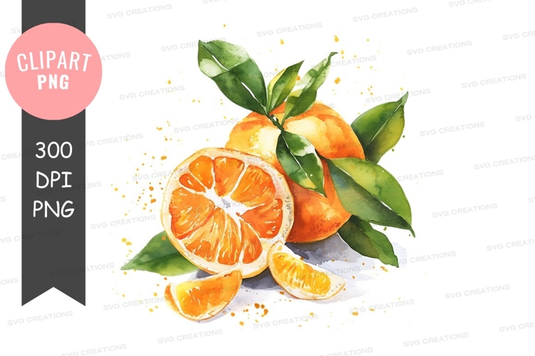 Citrus Clipart Image 16