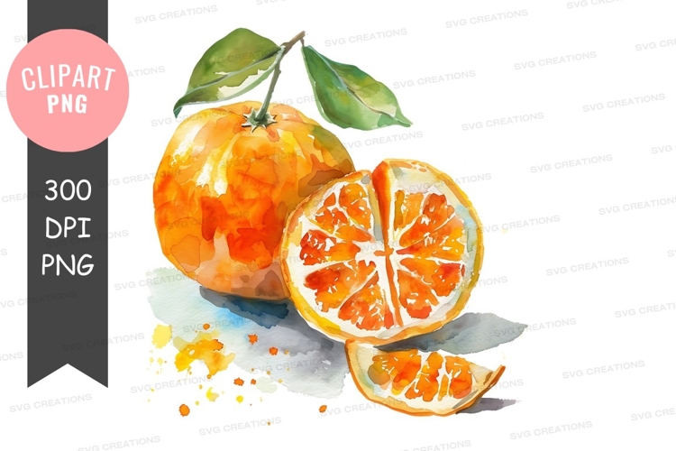 Citrus Clipart Image 11