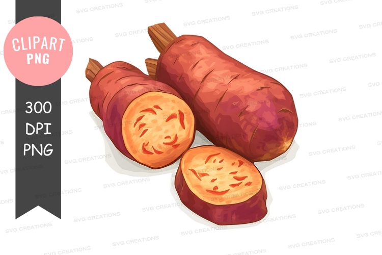 Feather Clipart Image 24