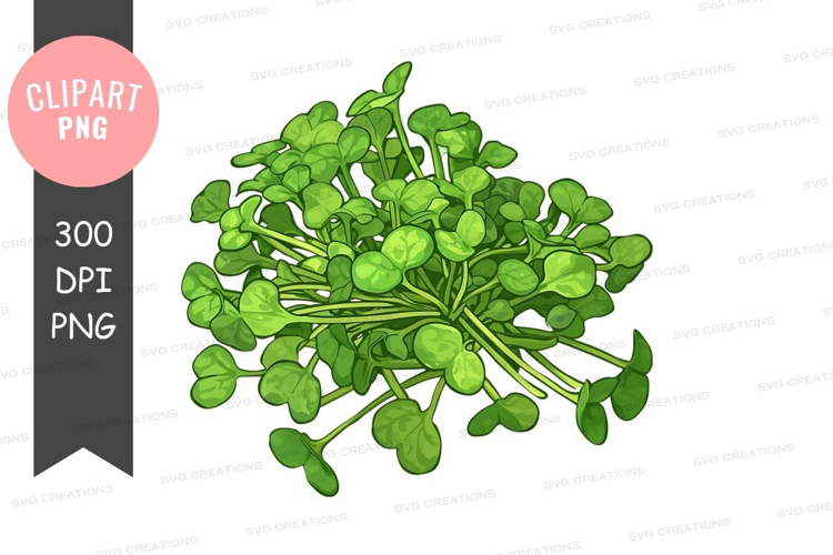 Fresh green leafy vegetables