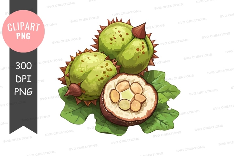 Feather Clipart Image 19