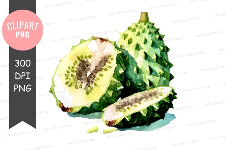 Citrus Clipart Image 9