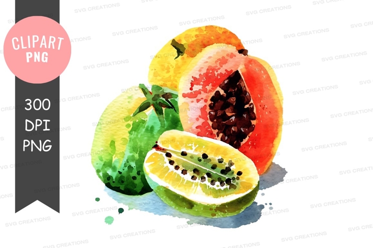 Feather Illustration Image 10