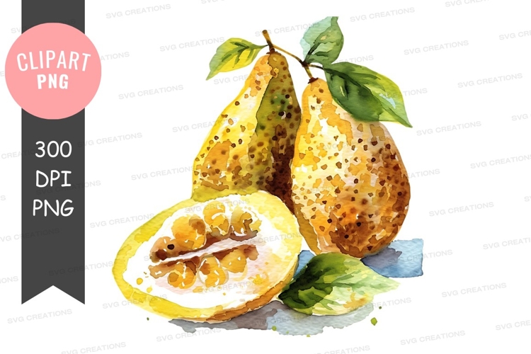 Watercolor Lemon Clipart Image 20