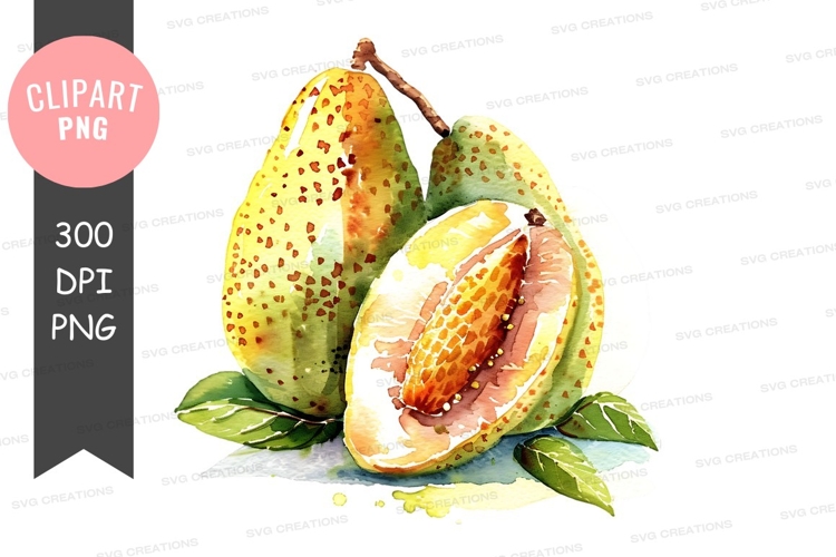 Nature Illustration Image 17