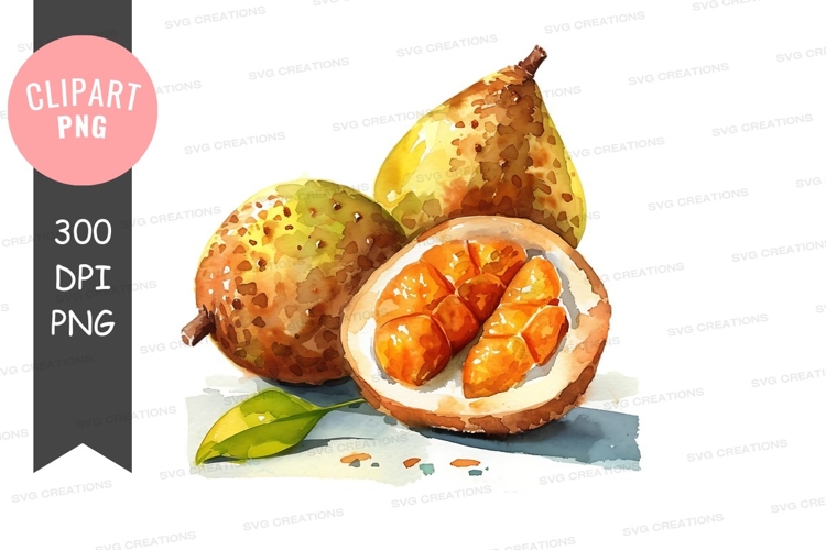 Fruits Png Image 16