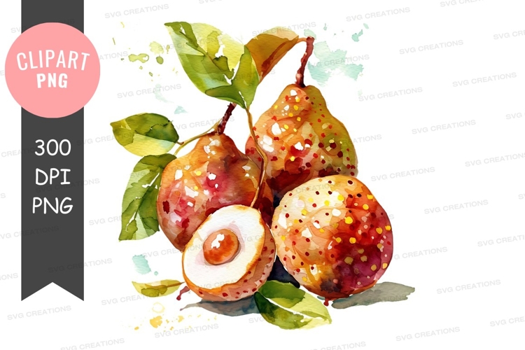 Fruit Illustration Image 21