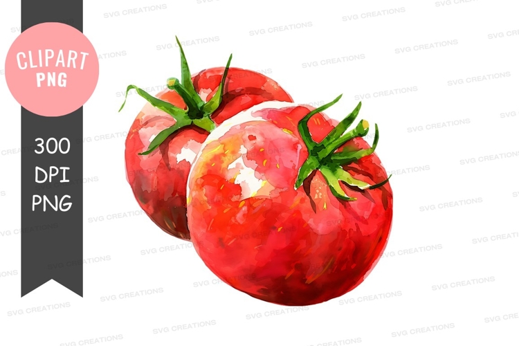 Vegetables PNG Image 21