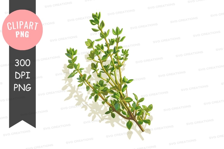 Plant Png Image 14