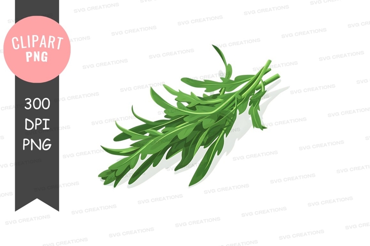 Rosemary Png Image 13