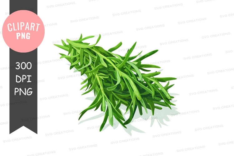 Raspberry Clipart Image 16