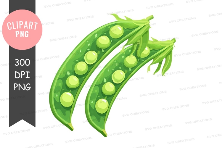 Vegetables PNG Image 18
