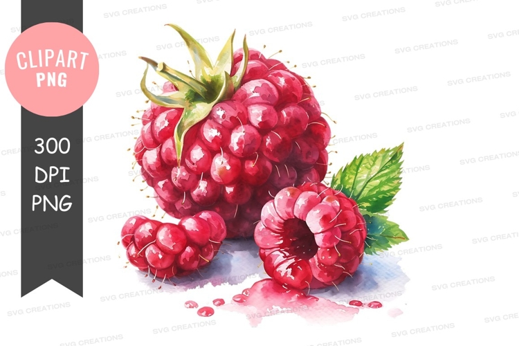 Raspberry Clipart Image 16