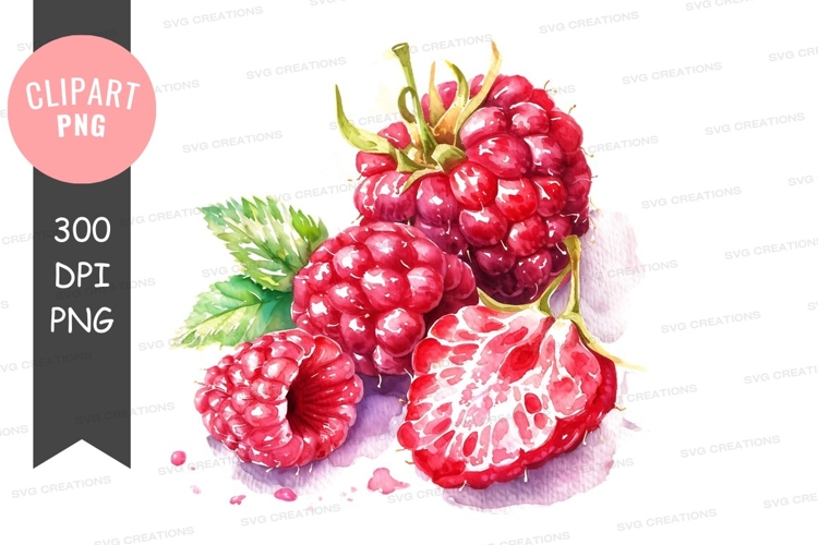 Raspberry Clipart Image 15