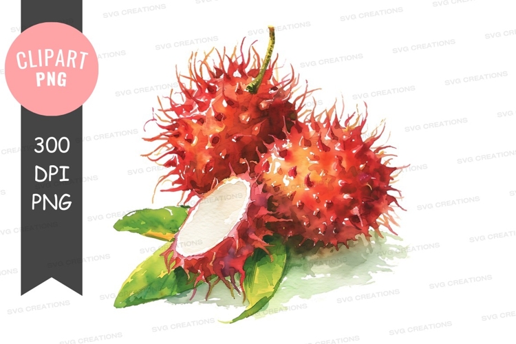 Seed Clipart Image 6