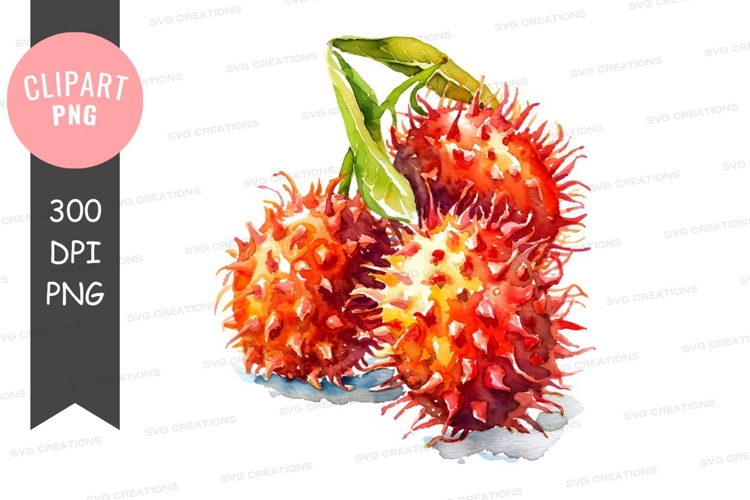 Rambutan clipart png