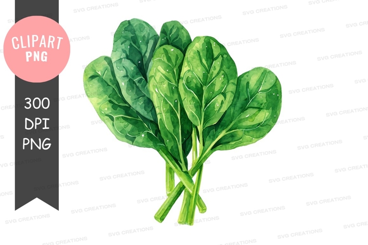 Vegetables PNG Image 14