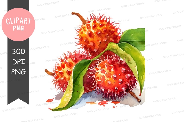 Fruits Png Image 15