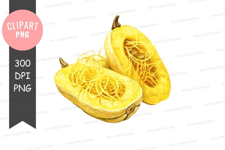 Squash Clipart Image 19