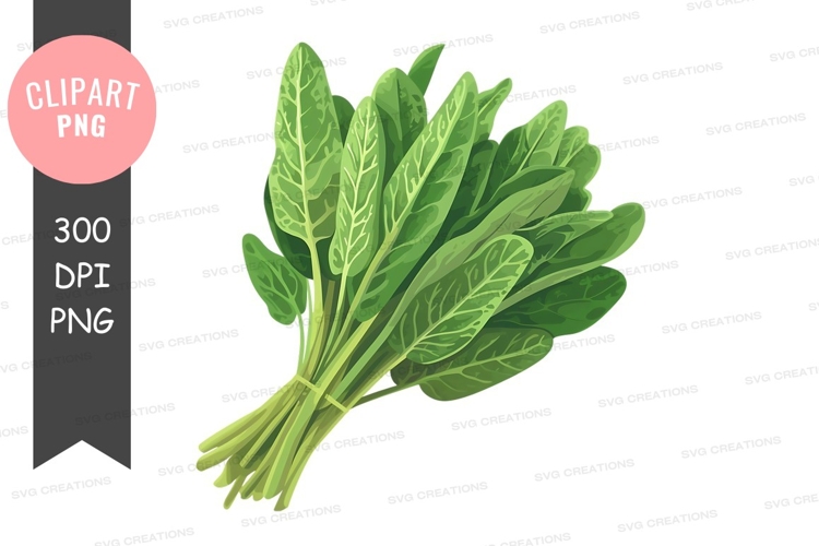 Vegetables PNG Image 5