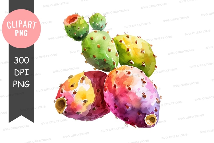 Cactus Clipart PNGs Image 2