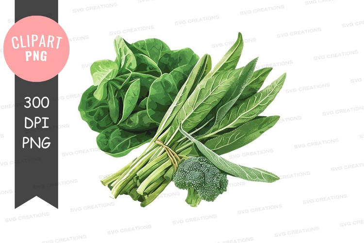 Fresh green leafy vegetables